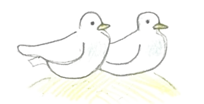 座る鳥の画像